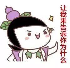 娱乐吃瓜酱爱藏在废话里